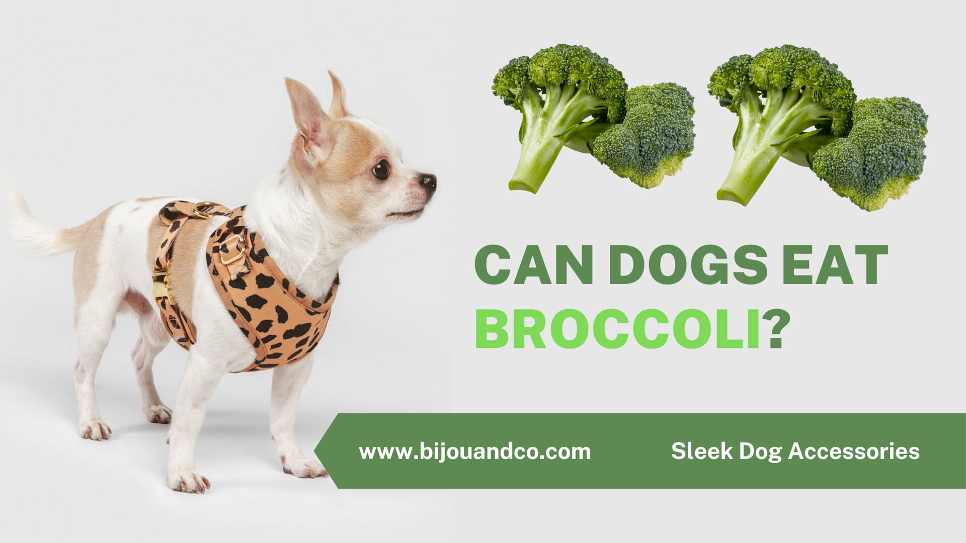 Is Broccoli Good For Puppies